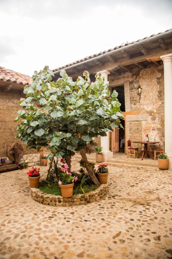 Hotel Casa De Gandhi San Cristóbal de Las Casas エクステリア 写真